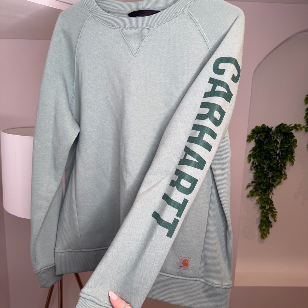 Carhartt Relaxed Fit Midweight Crewneck Block Logo Sleeve Graphic Sweatshirt